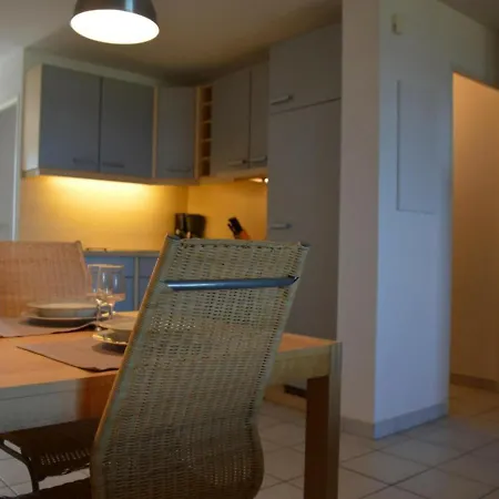 Apartment 3 Pieces Avec Piscine Et Parking A Saint-cyprien - Fr-1-225d-315