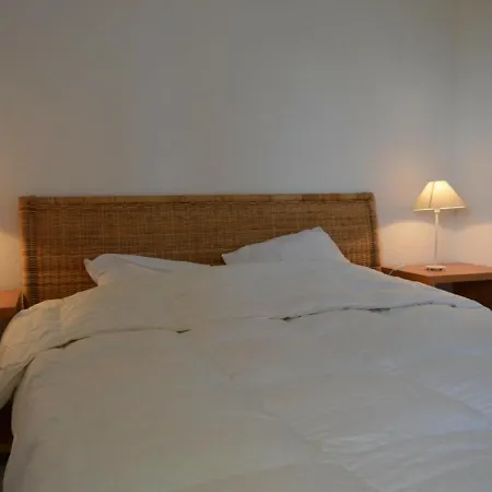 Apartment 3 Pieces Avec Piscine Et Parking A Saint-cyprien - Fr-1-225d-315 *